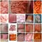 Meat Lovers