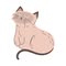 Purrfect Threads
