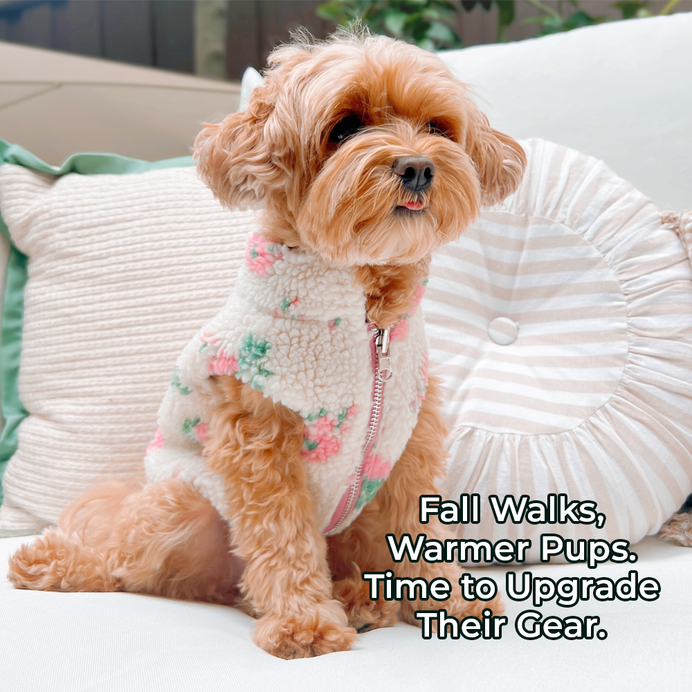 Lucy & Co. Facebook ad: Warmer Autumn Walks