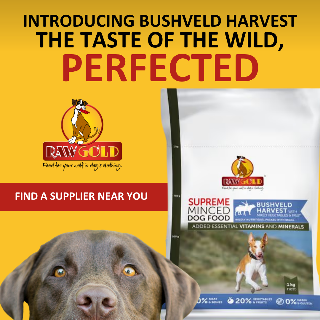 Raw Gold - Premium Hormone Free Raw Food for dogs Facebook ad