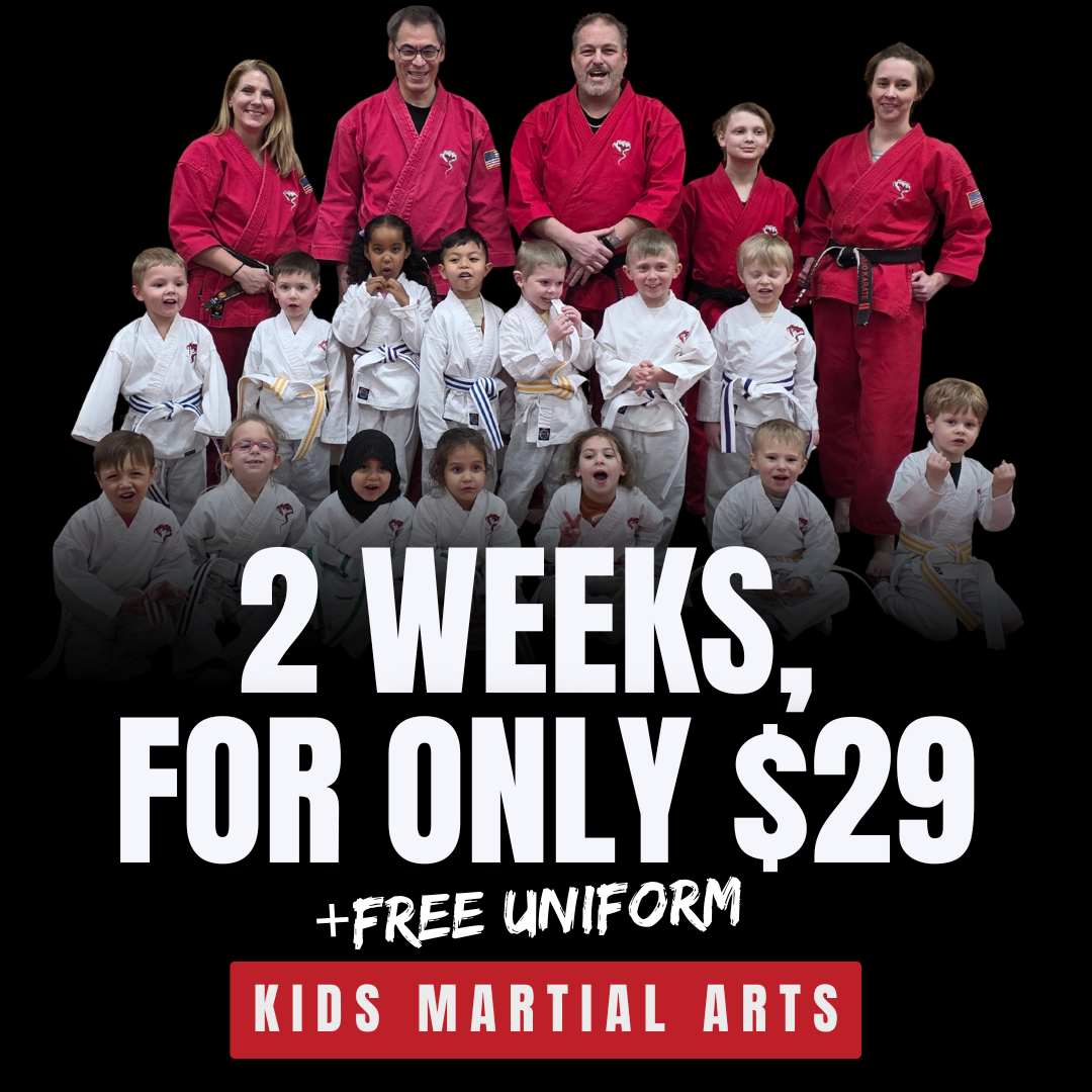 Dojo Karate Blaine Facebook ad