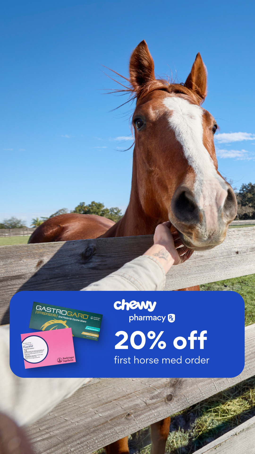 Chewy Facebook ad