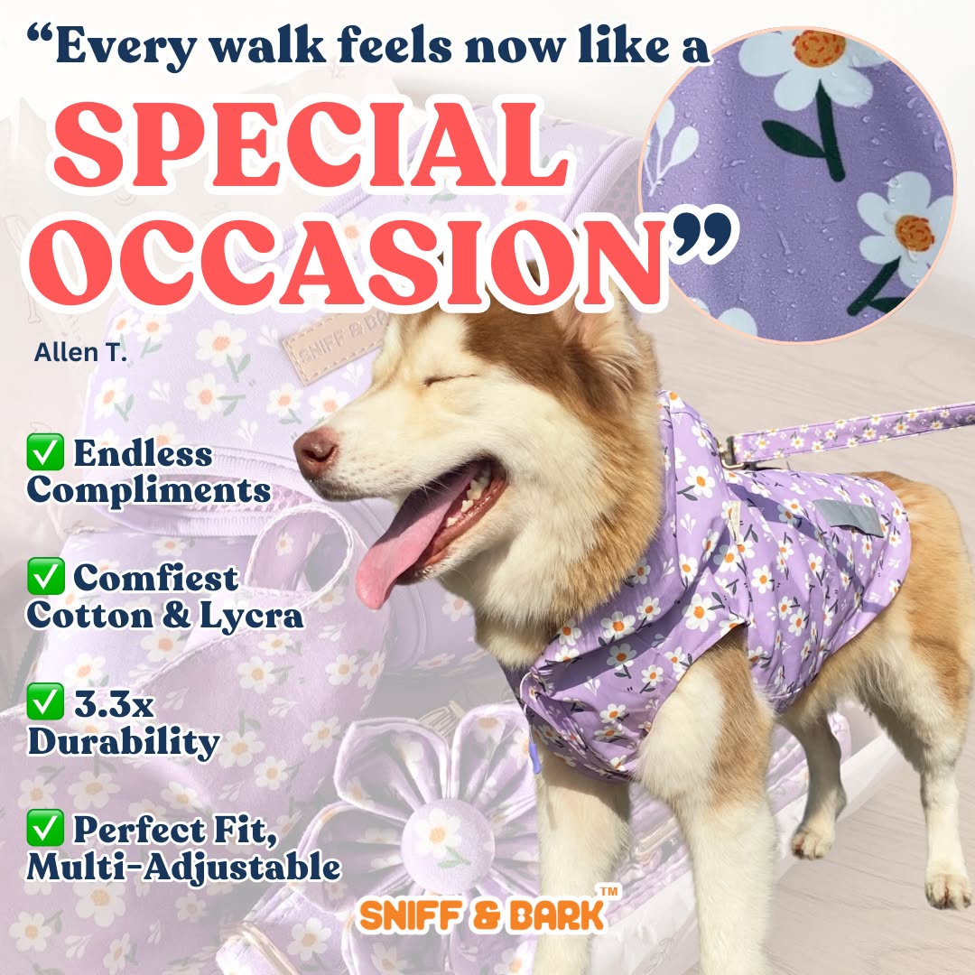 Sniff & Bark Facebook ad