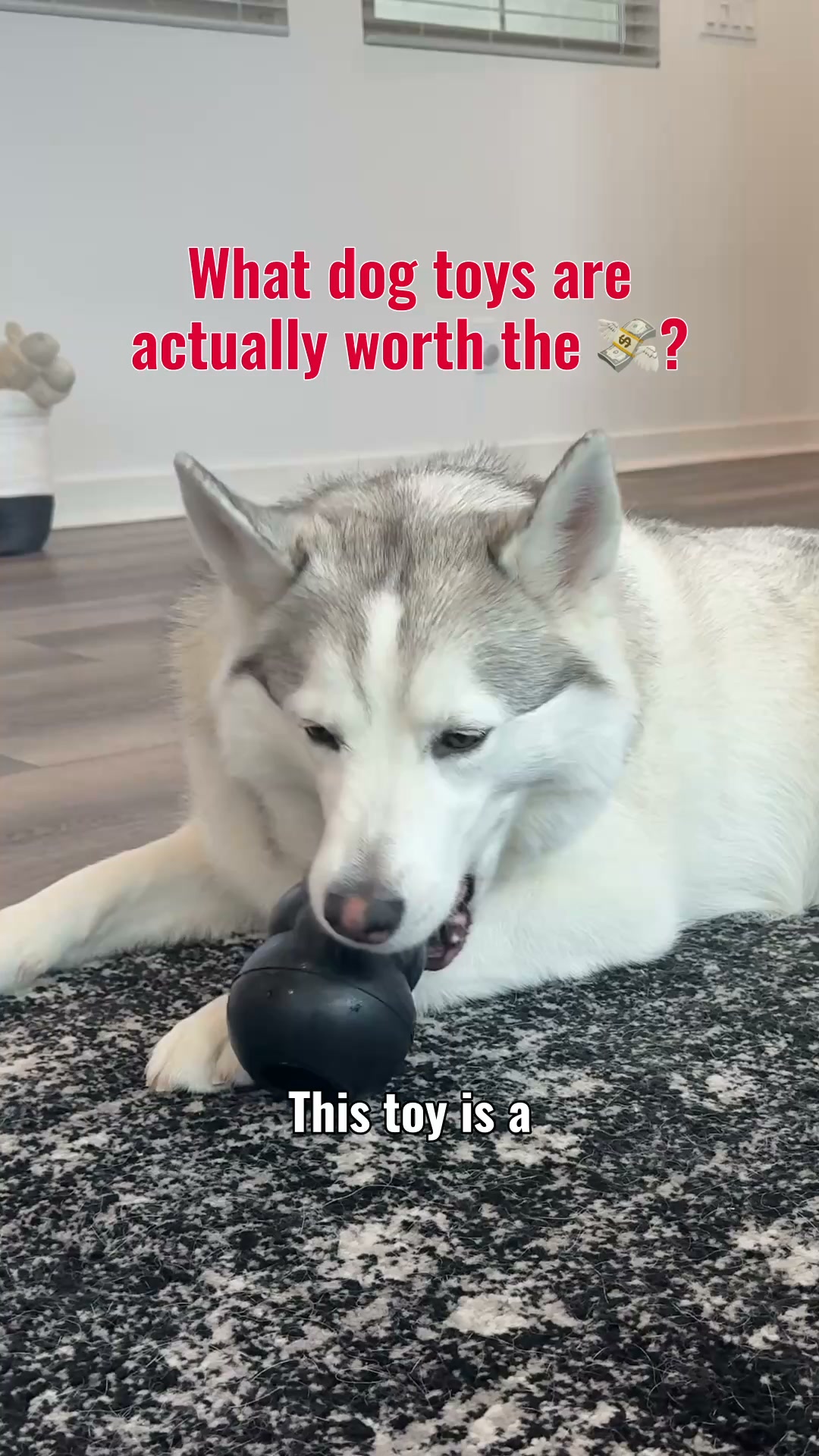 KONG Facebook ad: The Toy That's Worth It
