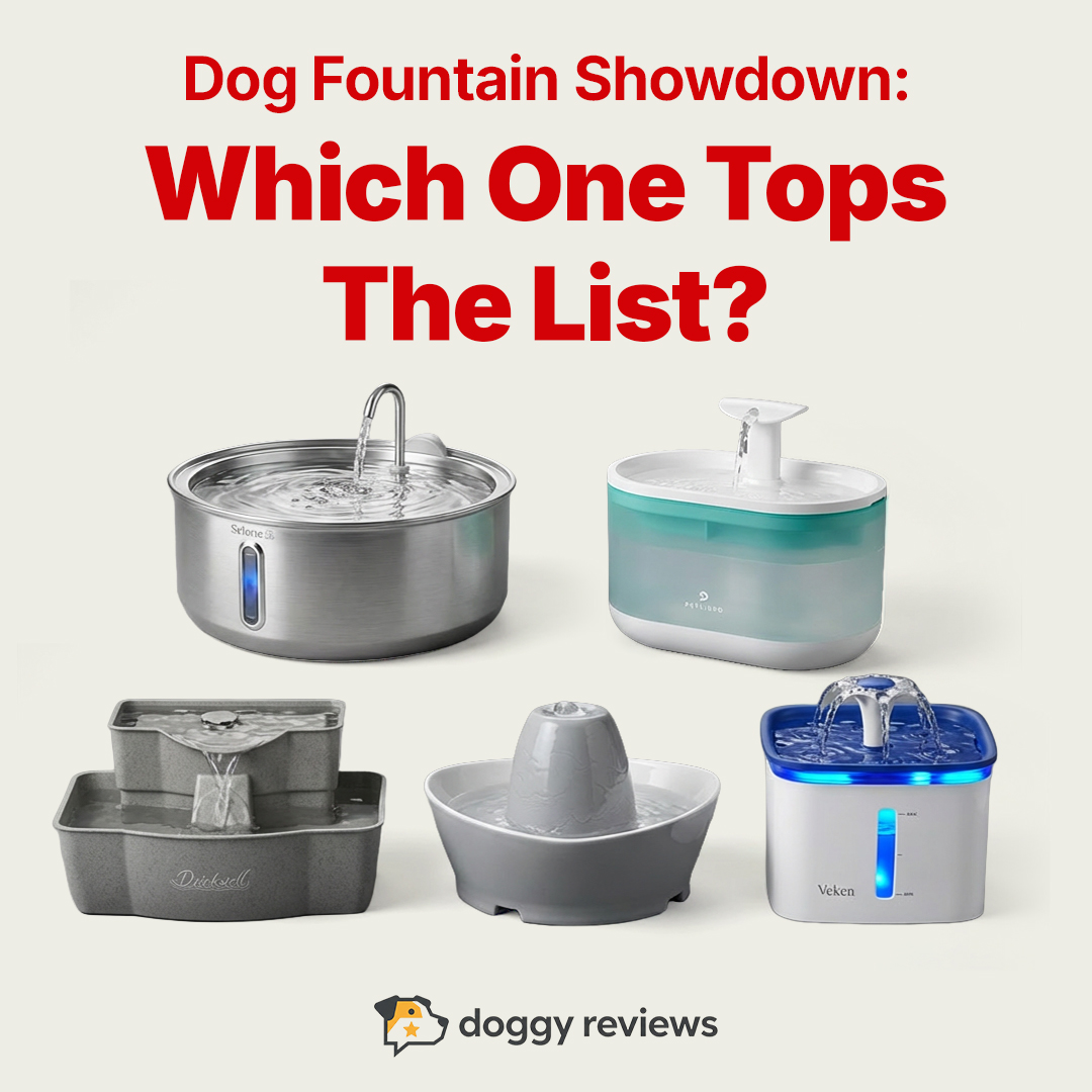 Best Dog Products 2026 Facebook ad