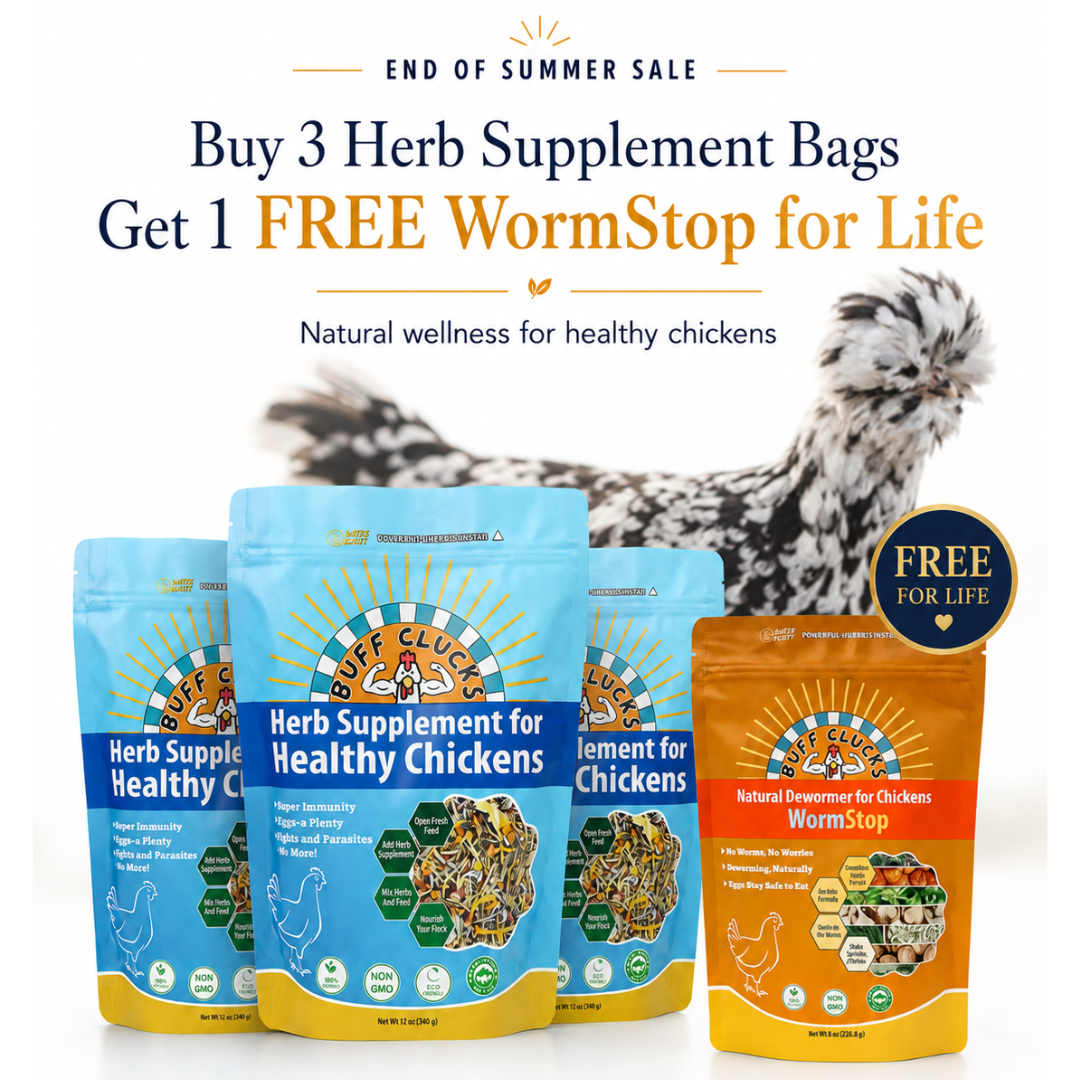 Buff Clucks Facebook ad