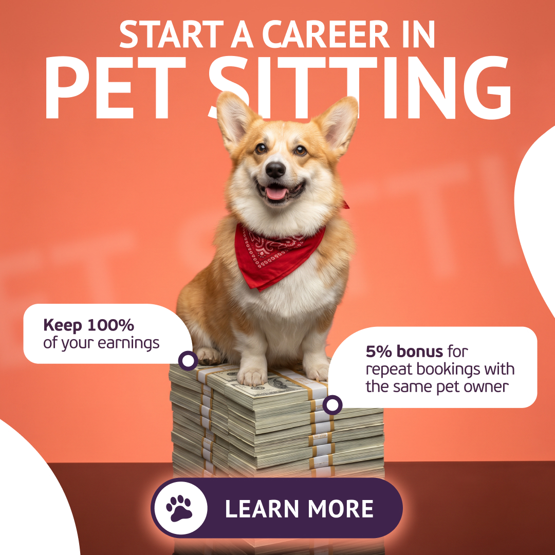 Bobby the Bulldog Facebook ad from Jun 16, 2026