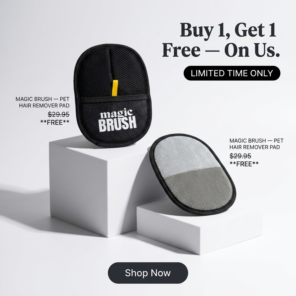 The Magic Brush Facebook ad