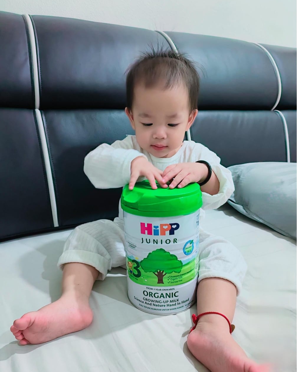 HiPP Malaysia Facebook ad