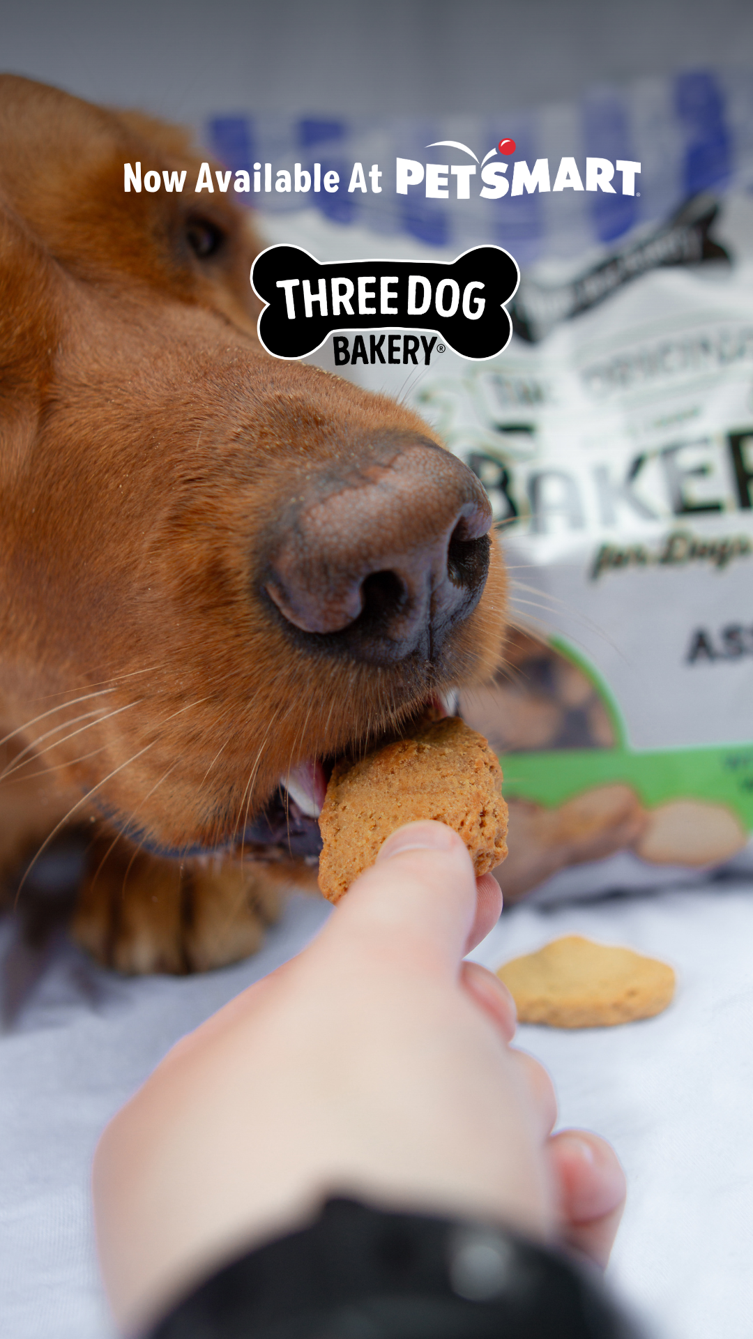 Three Dog Bakery Facebook ad