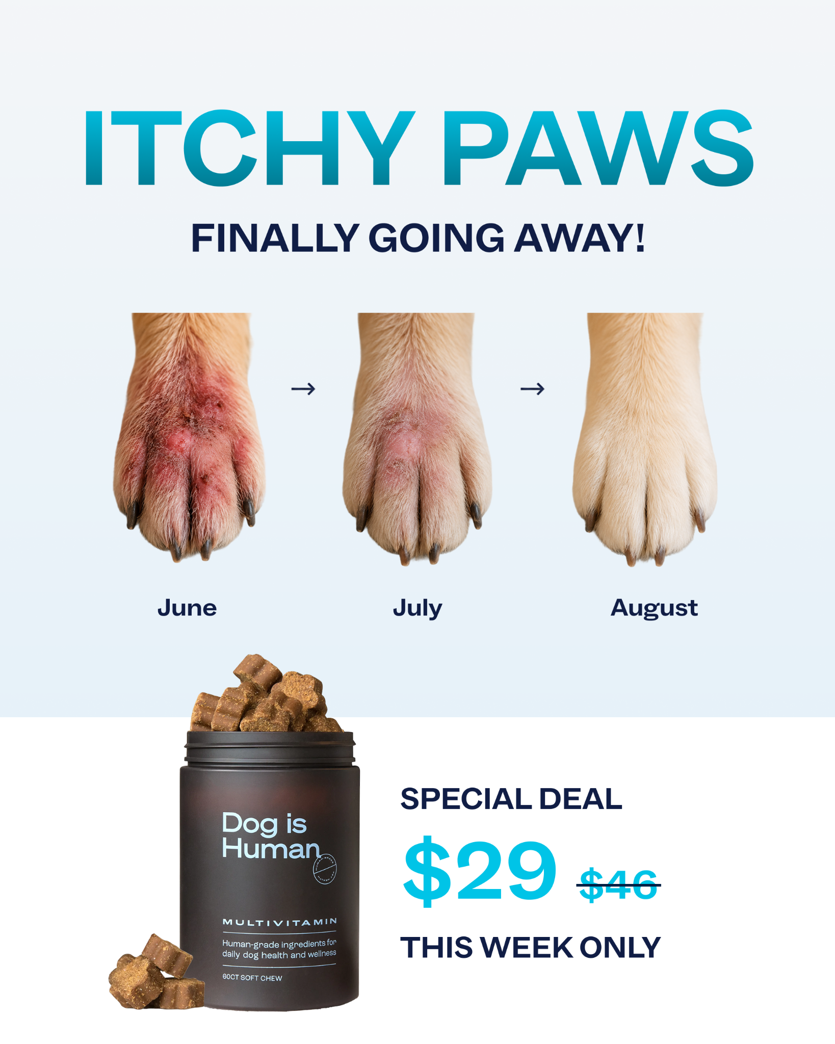 Dog is Human Facebook ad