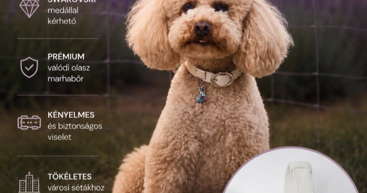PrettyDog Luxury Pet Accessories Facebook ad: Elegancia minden sétában - PrettyDog exkluzív nyakörv és…