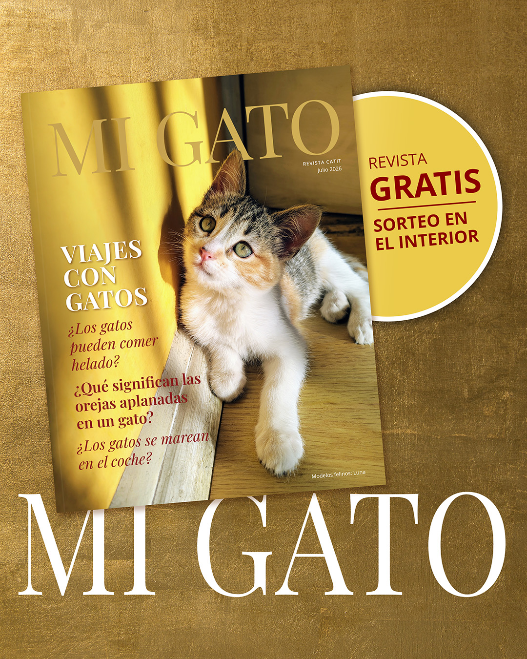 Catit España Facebook ad