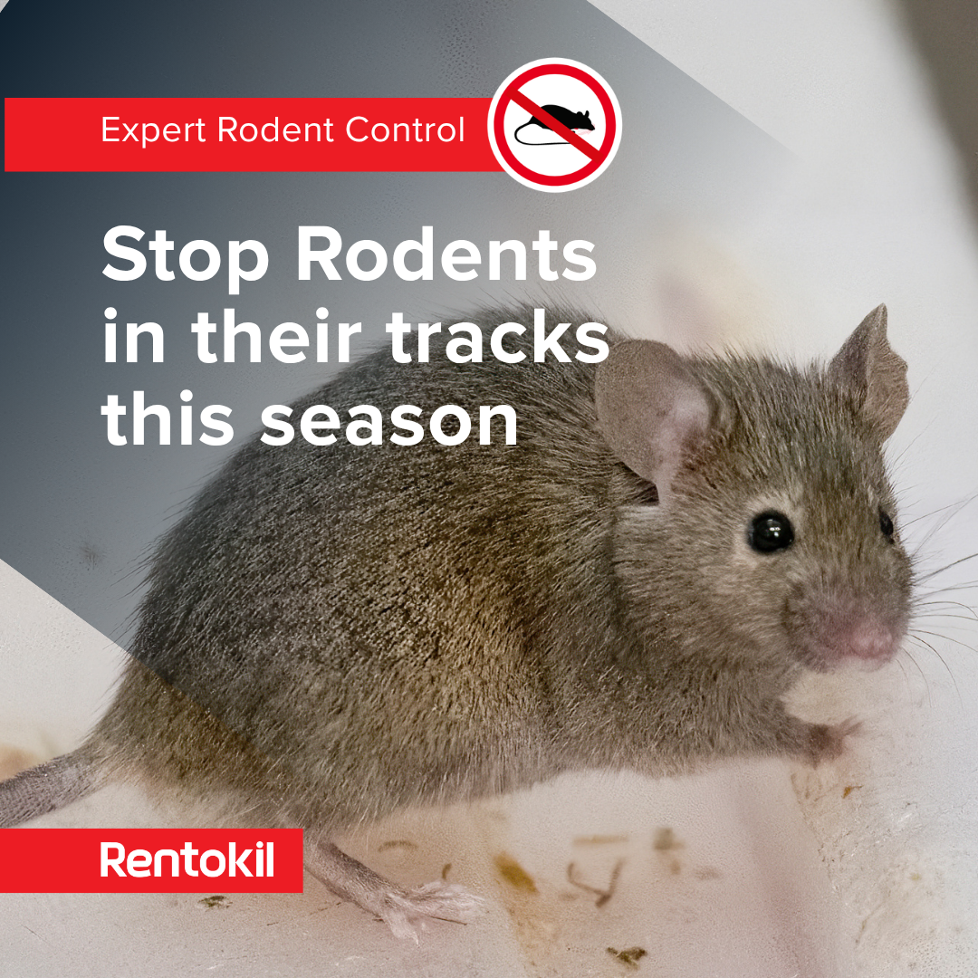 Rentokil Pest Control Australia Facebook ad: Get Your Free Quote
