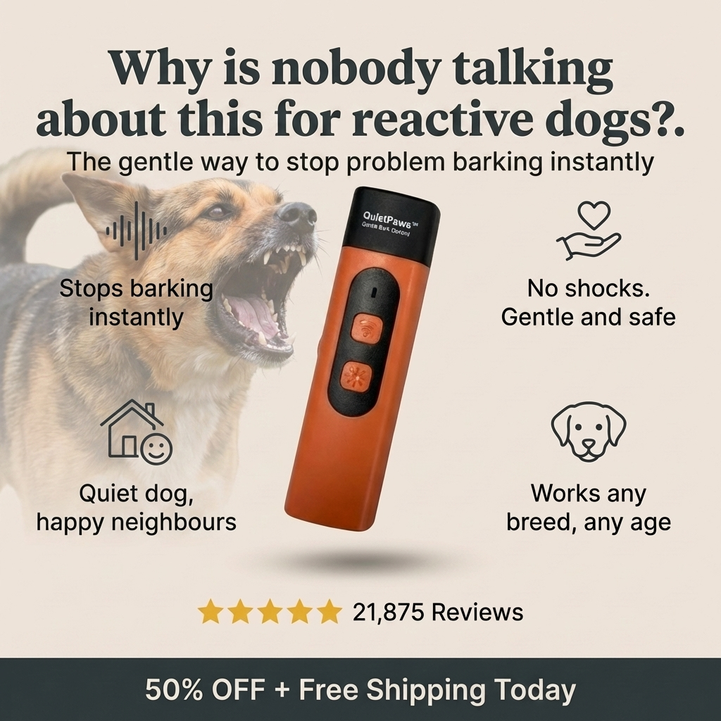 Hunters Doggy Daycare Facebook ad