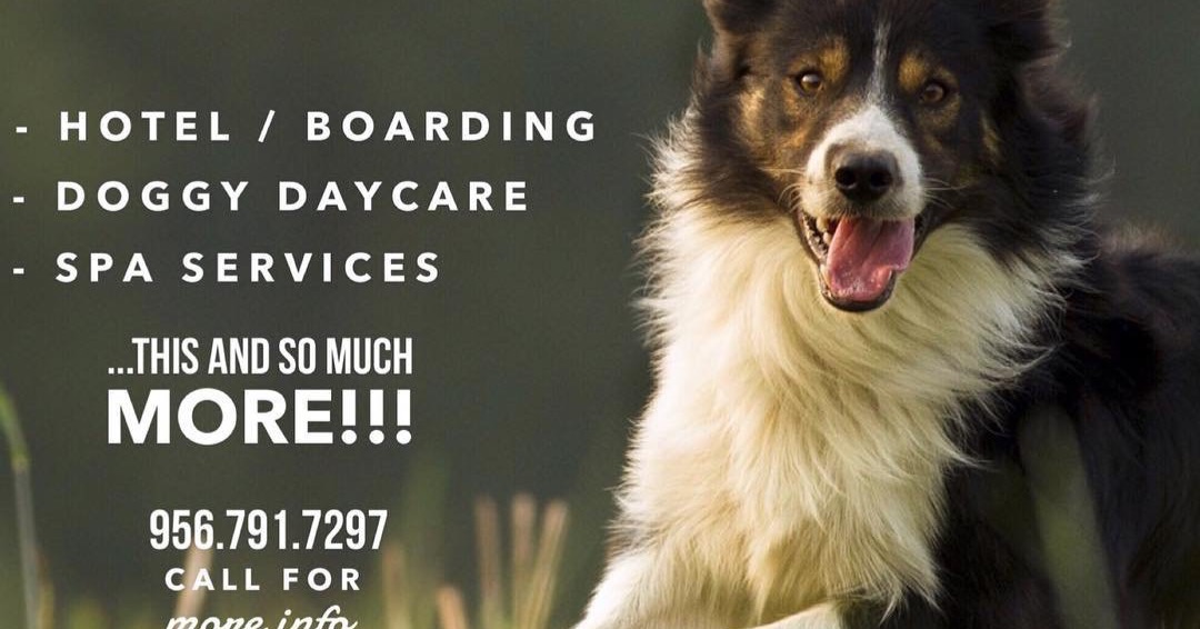 Paws & Claws, Hotel and Spa Facebook ad: Pet Hotel located in Laredo, Texas.