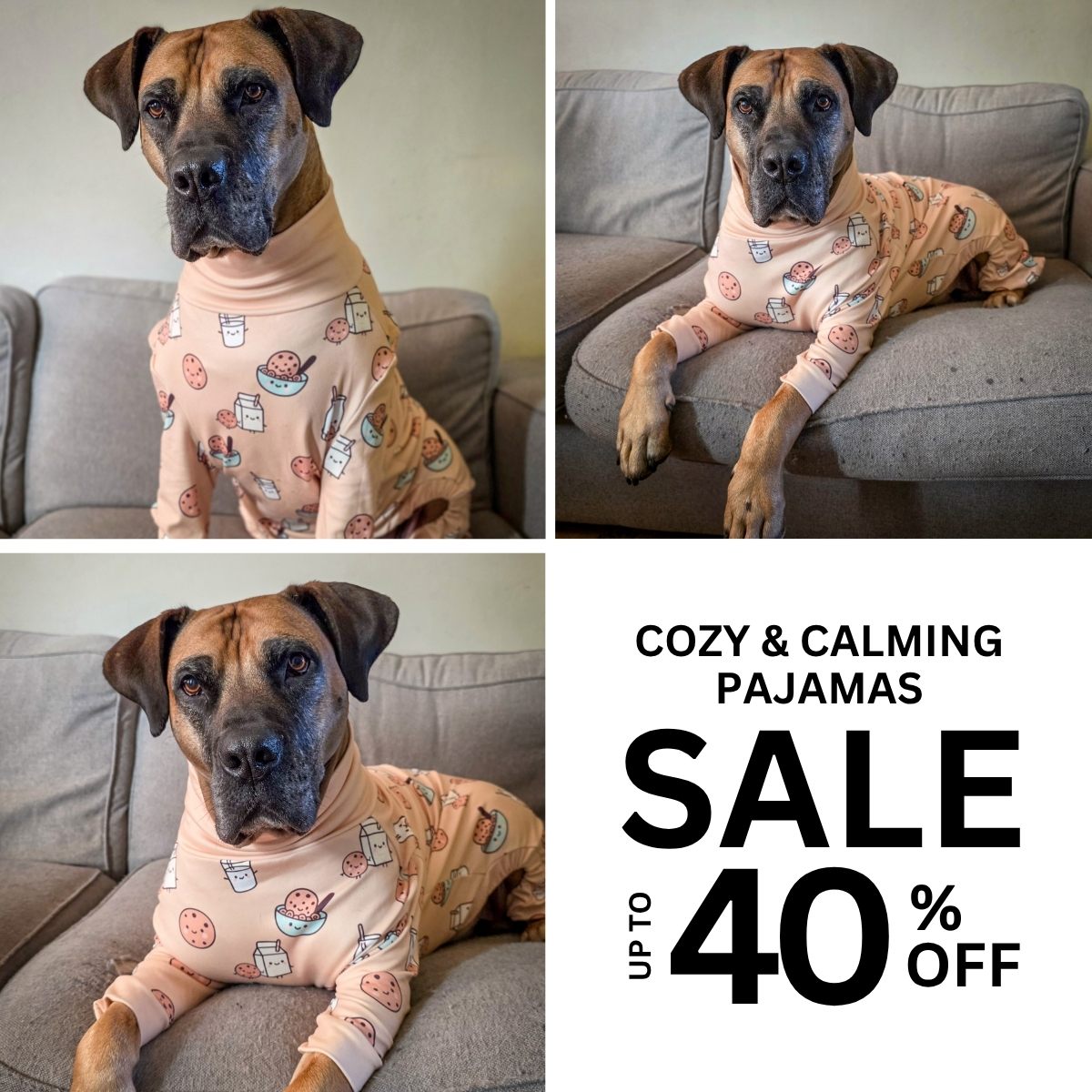 Spark Paws Facebook ad