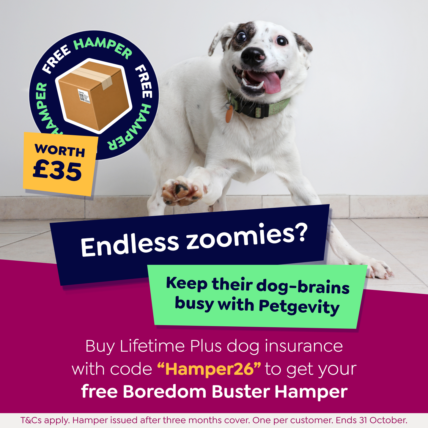 Petgevity UK Facebook ad