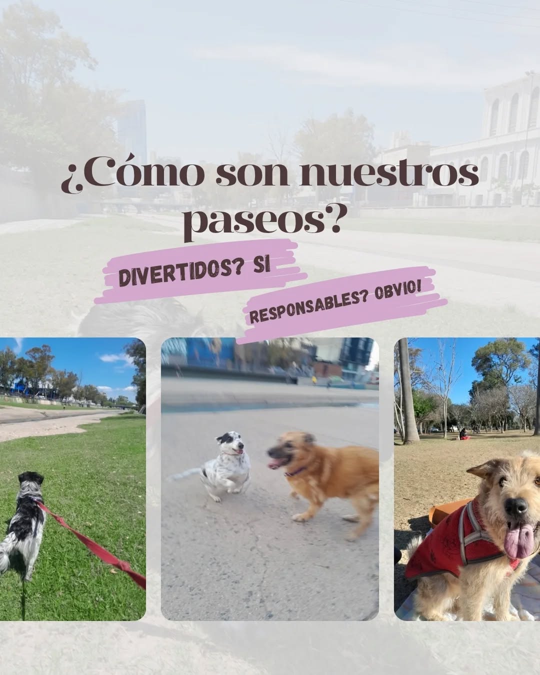 perru_nizados Facebook ad: En Perrunizados, cada paseo se hace con amor…