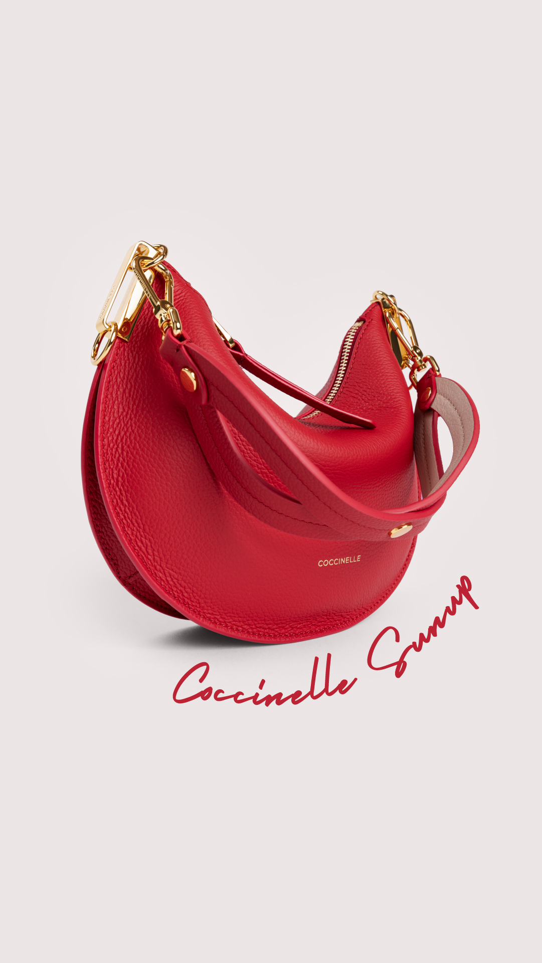 COCCINELLE Facebook ad