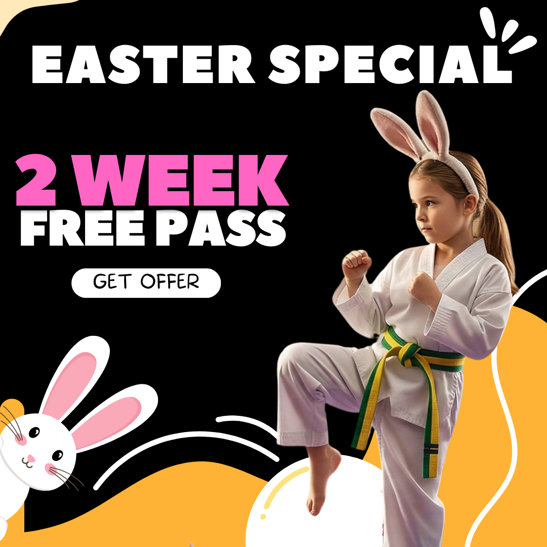 Master Lee's US Taekwondo Dartmouth Facebook ad