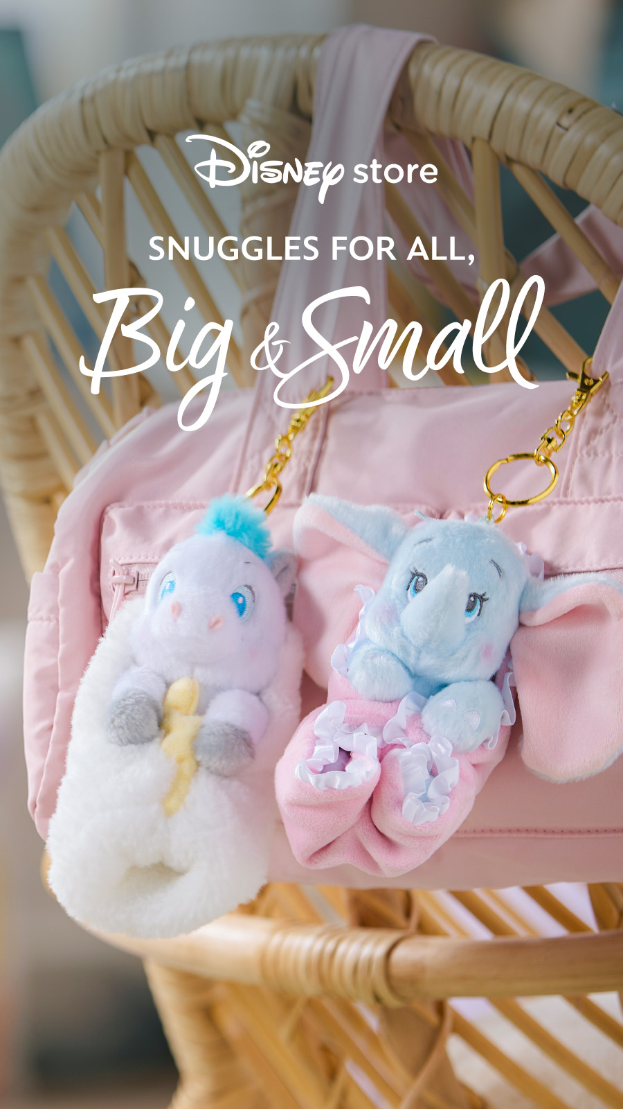 Disney Store Facebook ad