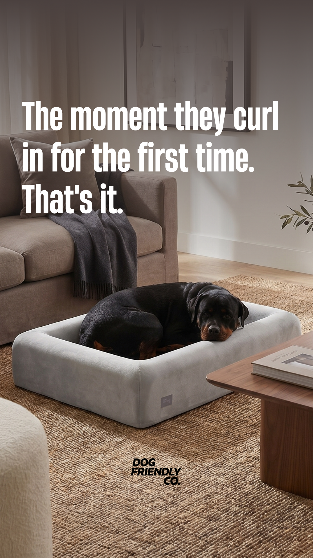 Dog Friendly Co. Facebook ad