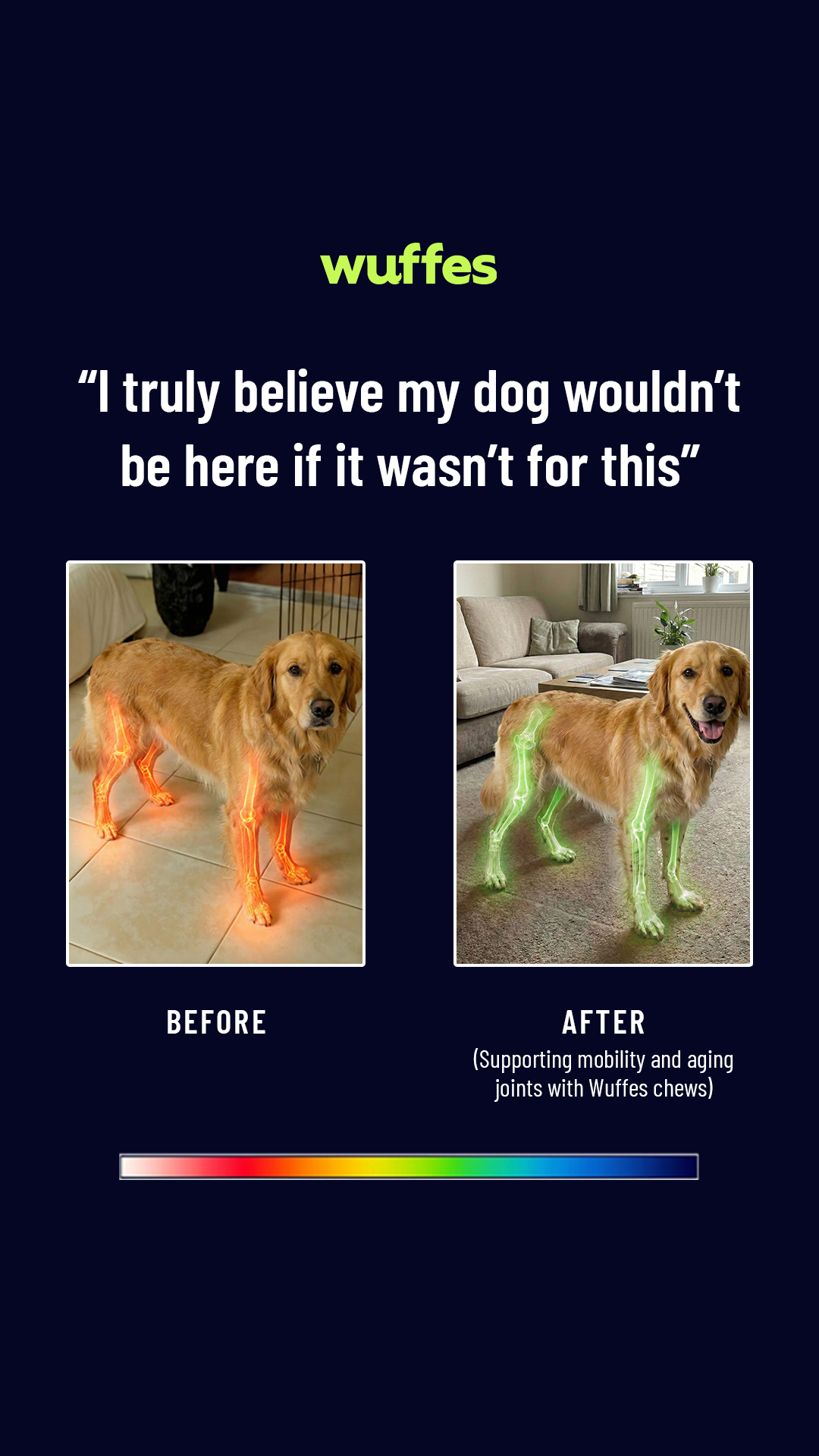 Everyday Pet Health Facebook ad