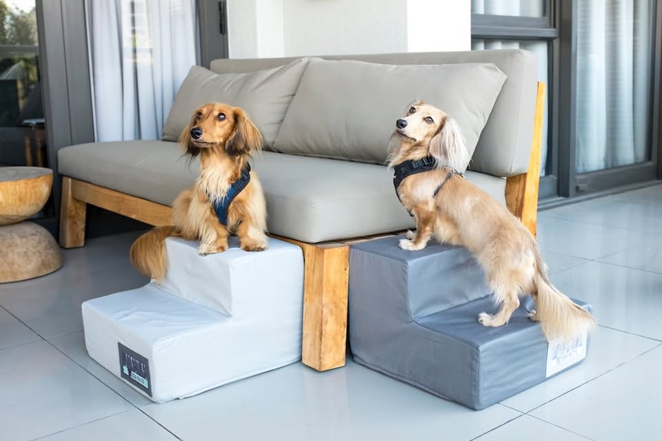 Ora Pets Facebook ad