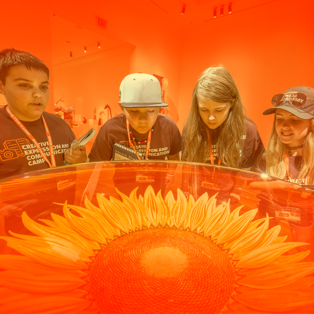 Indiana Tech Facebook ad: Not your average summer camp