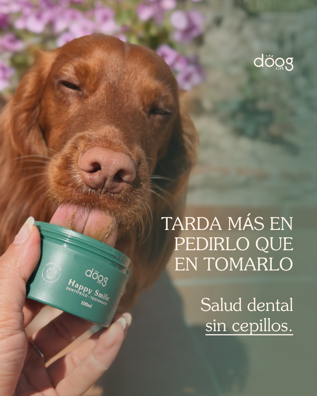 The Doog Life Facebook ad from Jul 15, 2026