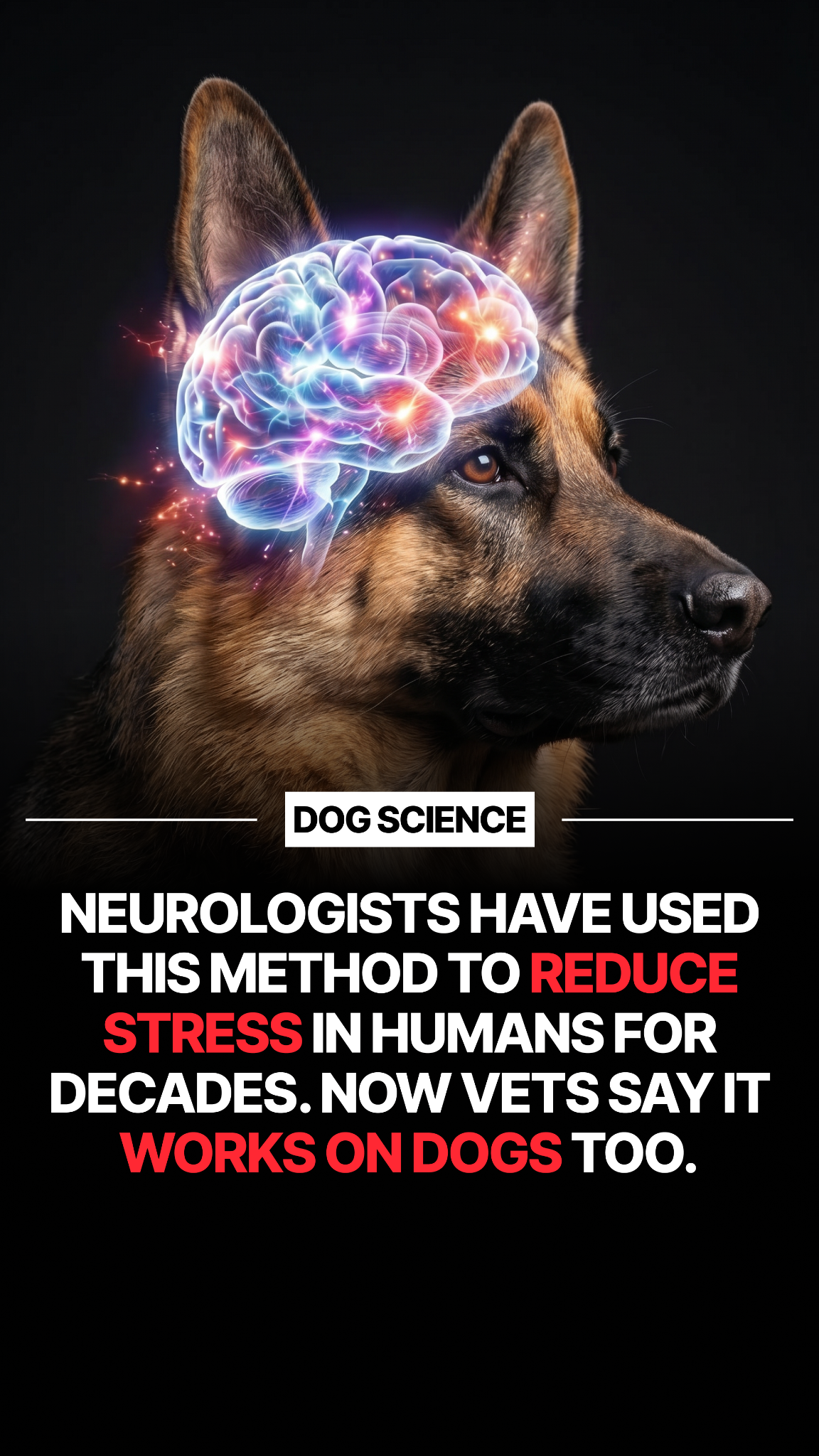 Helio Pet Facebook ad