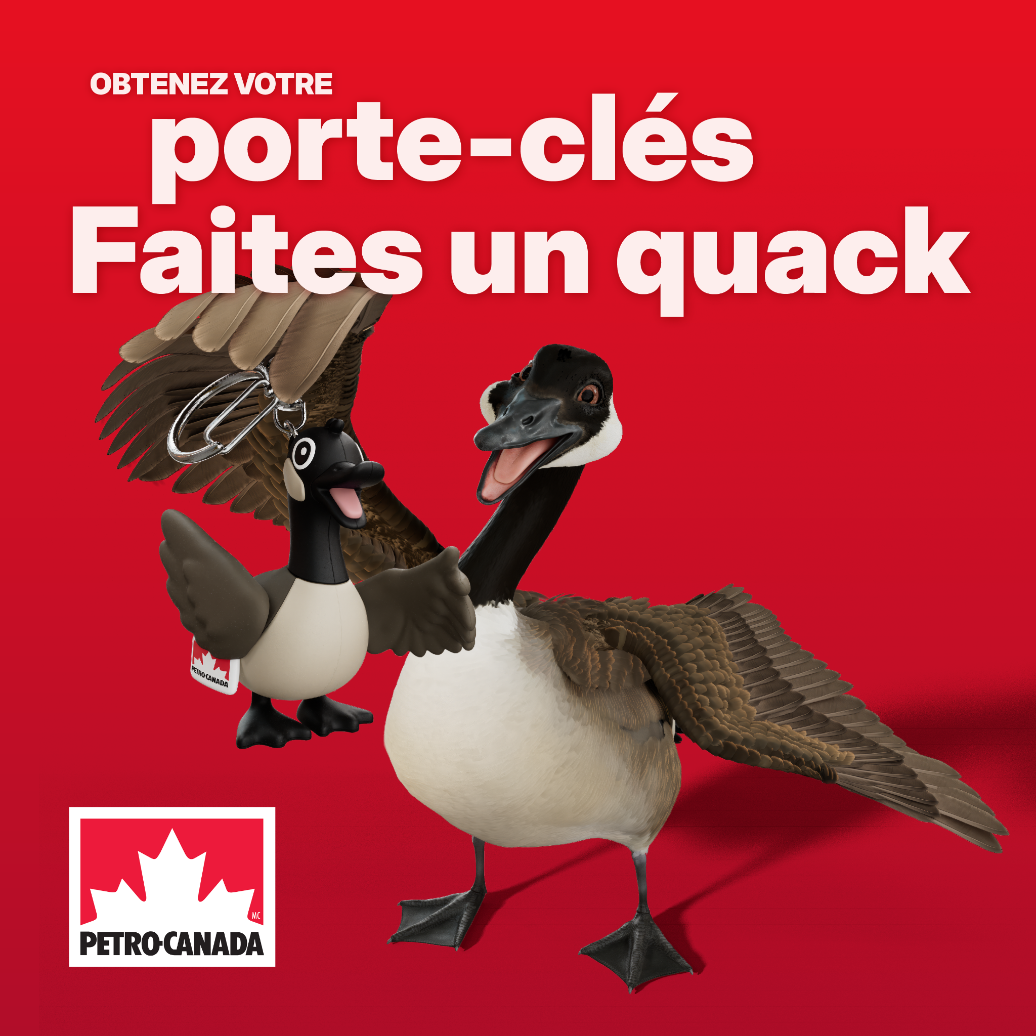 Petro-Canada Québec Facebook ad: Obtenez votre porte-clés Faites un quack