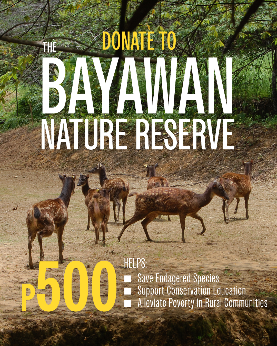 Talarak Foundation Facebook ad