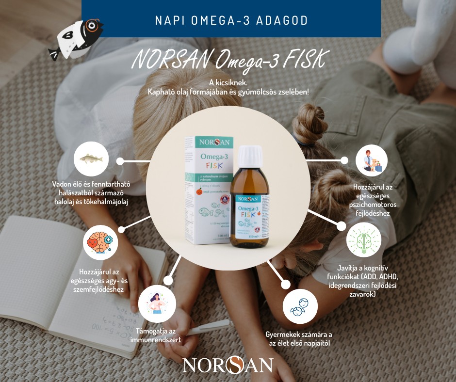 Norsan Magyarország Facebook ad from Nov 18, 2024