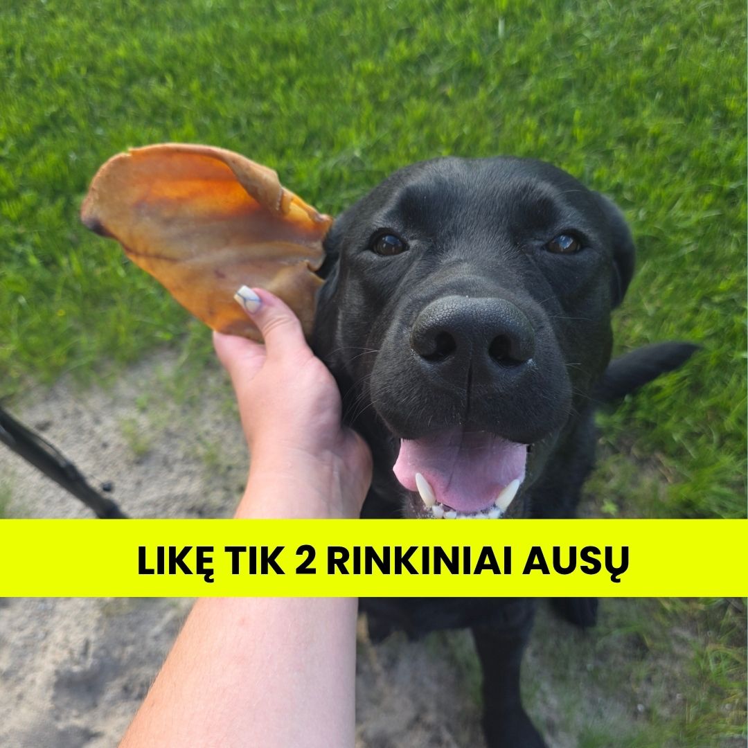 Sweet Pet Facebook ad: tik 6 rinkiniai!