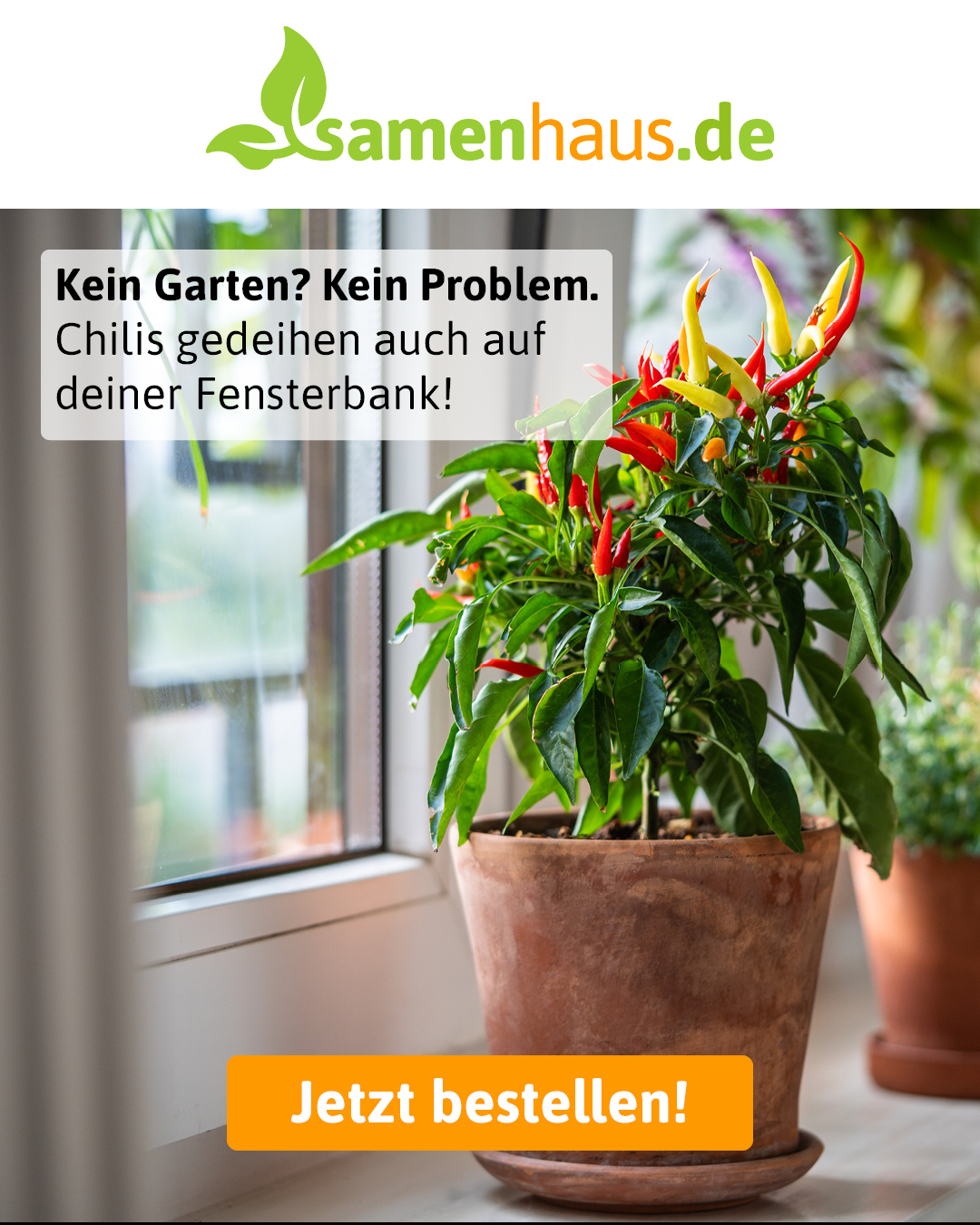 Samenhaus Müller Facebook ad