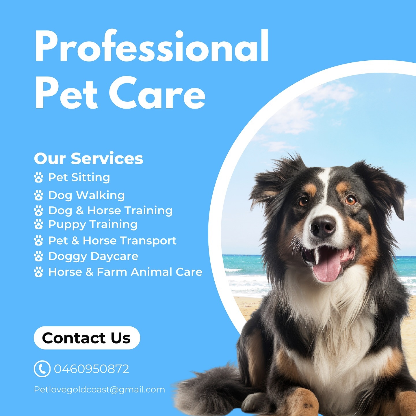 Pet Love Dog Walking & Pet Sitting Gold Coast Facebook ad: Pet Sitting & Doggy Daycare in Tallebudgera Valley…