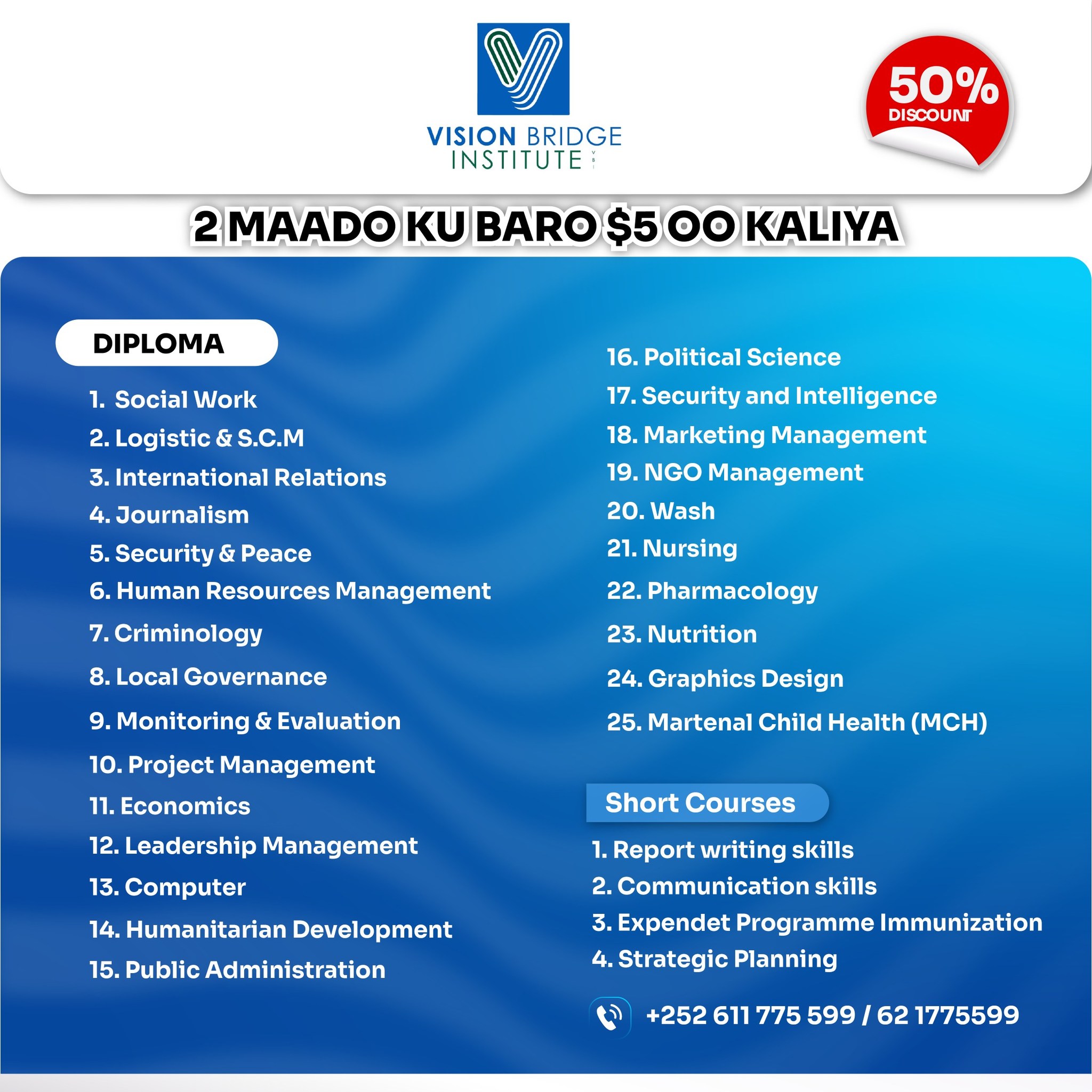 Vision Bridge Institute Facebook ad