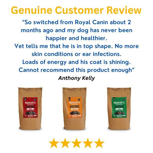 TopdogTraining.ie Facebook ad
