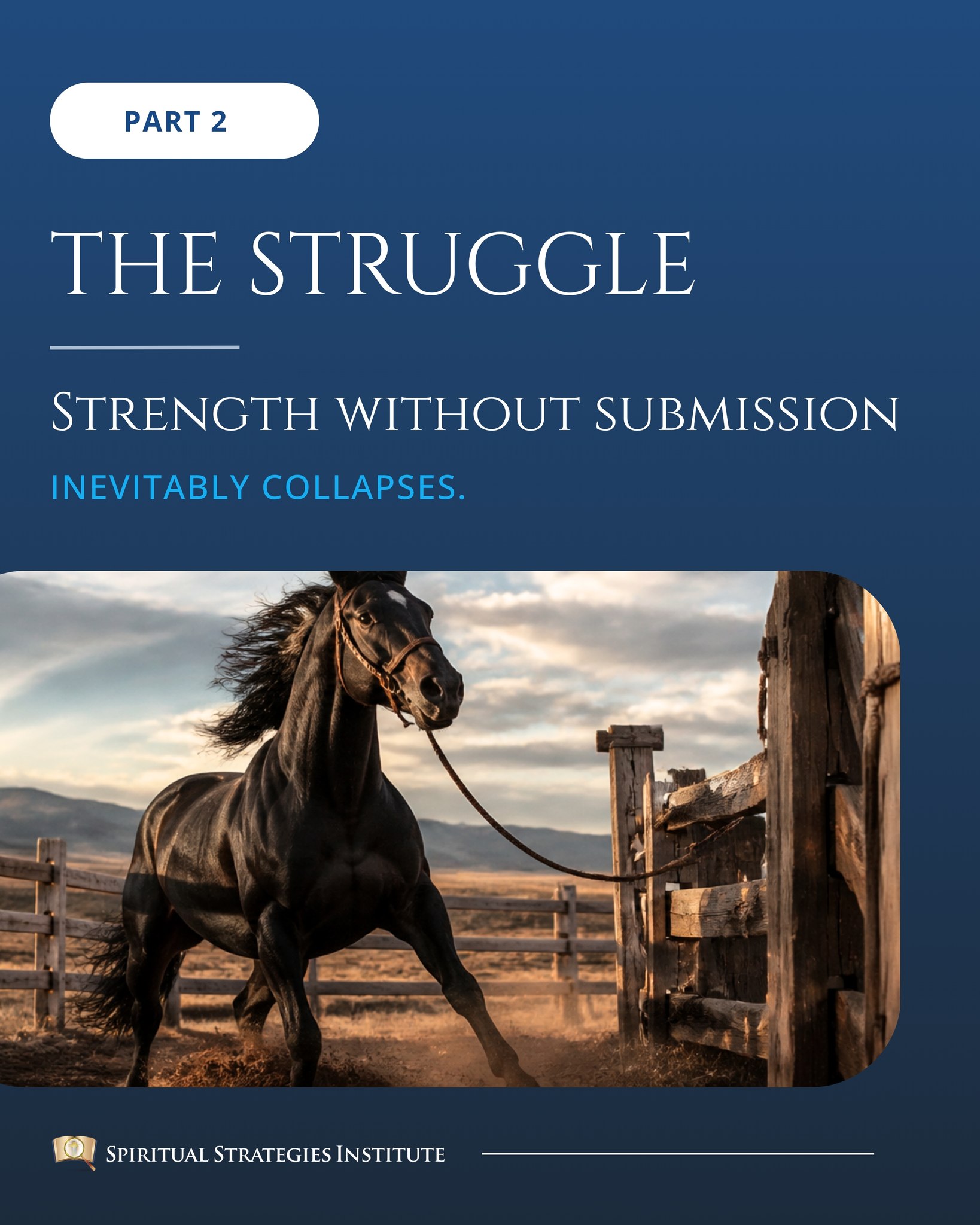 Spiritual Strategies Institute Facebook ad: The Struggle-Strength without submission always collapses.