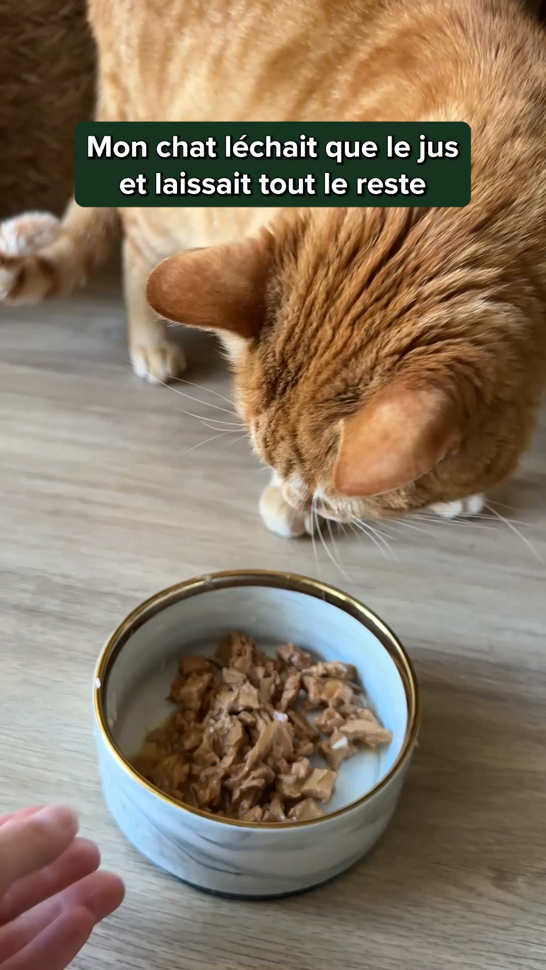 Franklin Pet Food Facebook ad: Ils ne laissent pas une miette