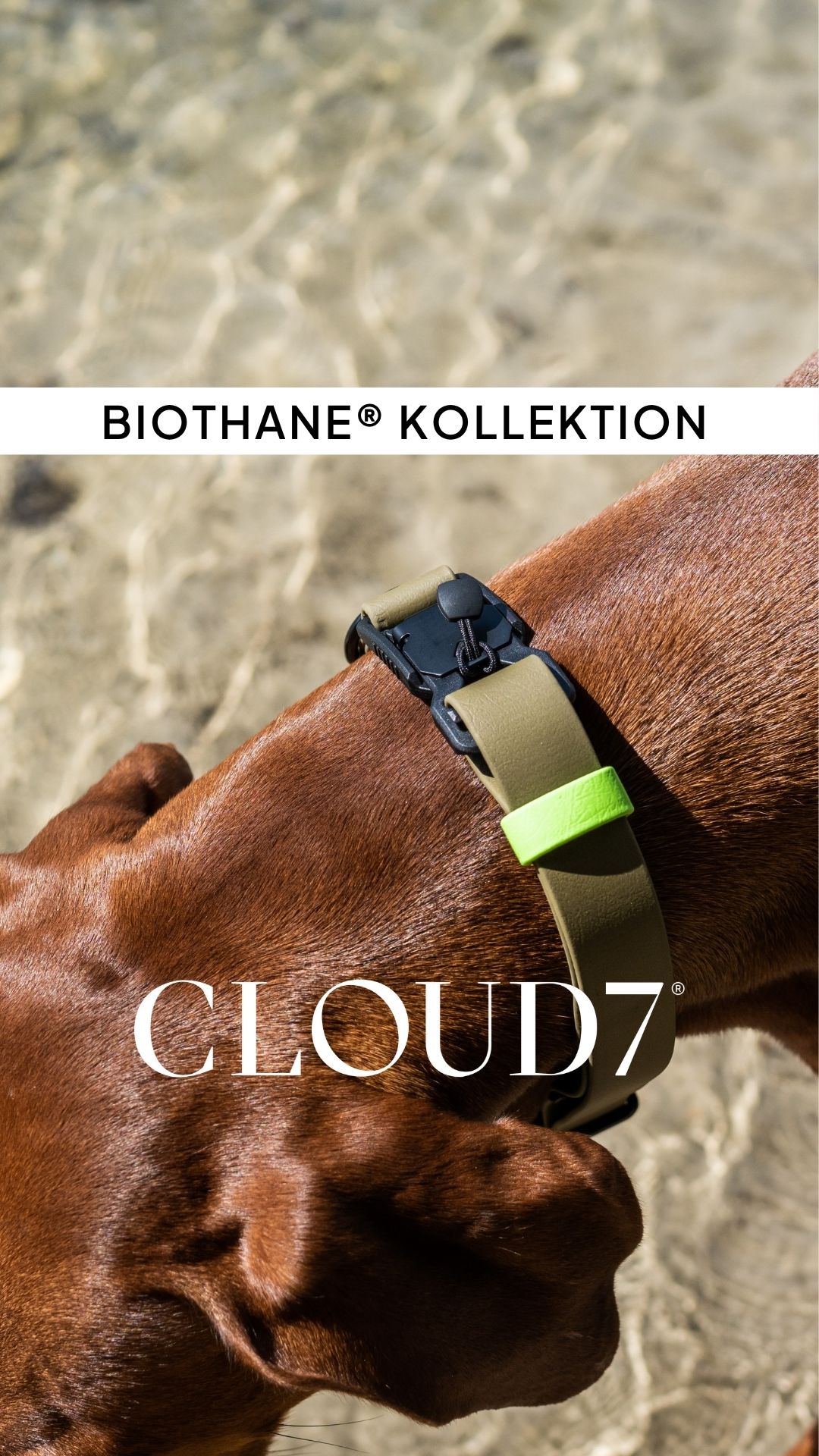 Cloud7 Facebook ad
