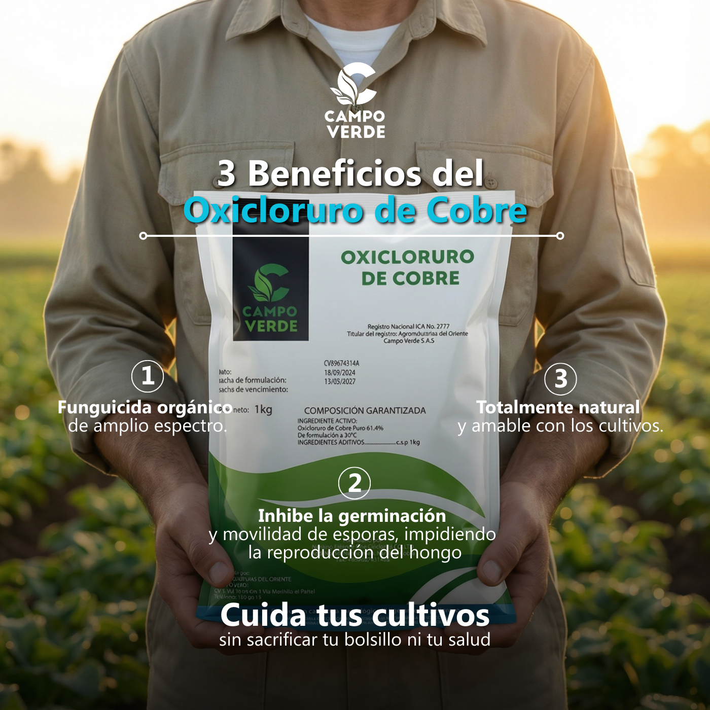 Agroindustrias campo verde  Facebook ad