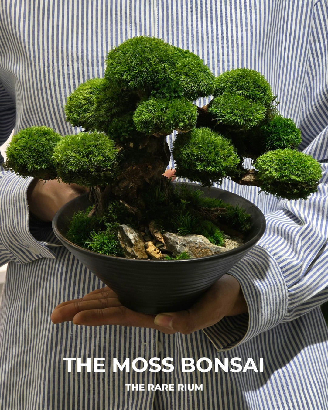 The Rare Rium - Plant & Moss Art Facebook ad