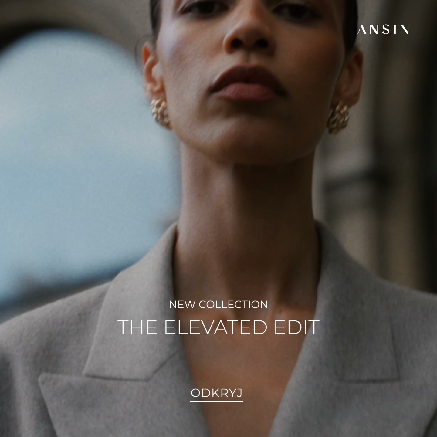 ANSIN Facebook ad: THE ELEVATED EDIT