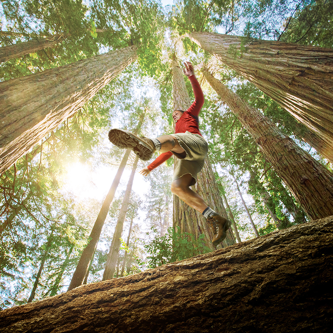 Visit California Facebook ad