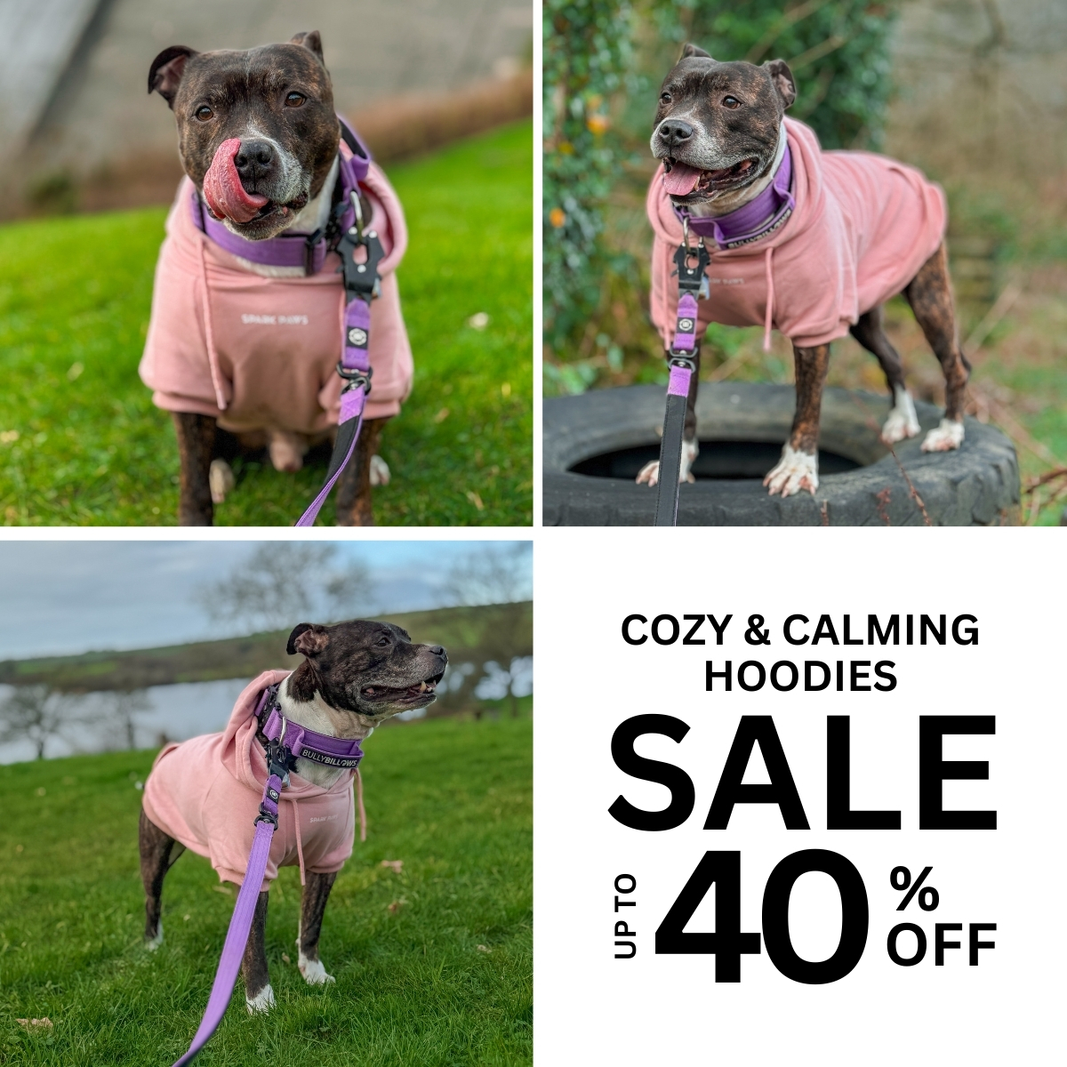 Spark Paws Facebook ad