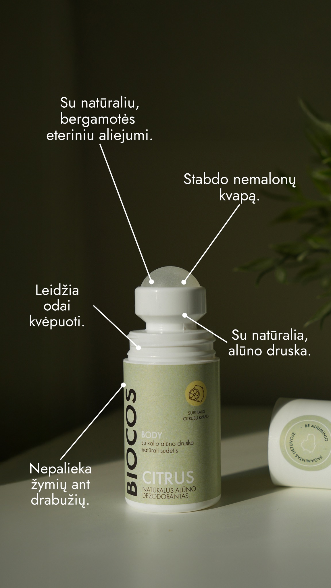 biocos.lt - natūrali lietuviška kosmetika Facebook ad