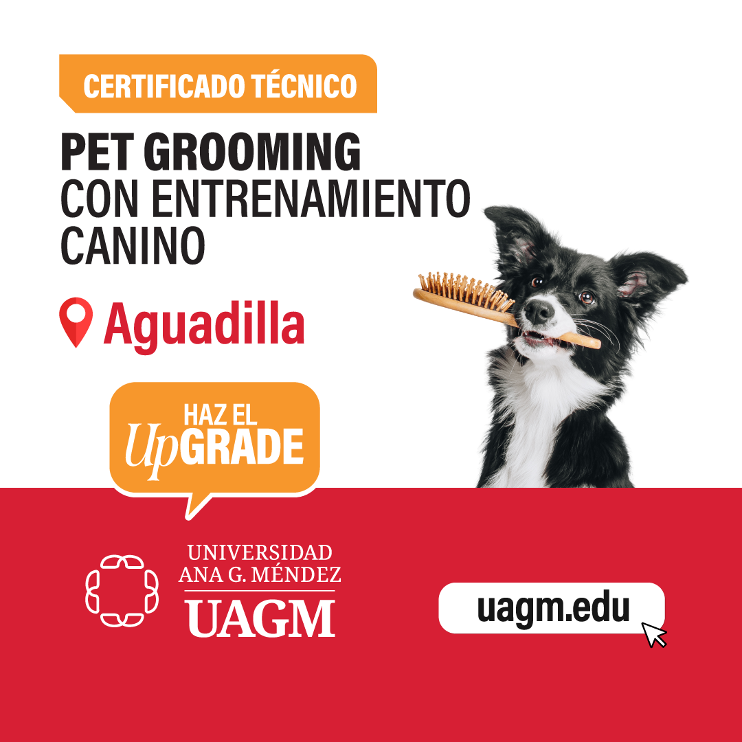 Universidad Ana G. Méndez Facebook ad: Solicita información